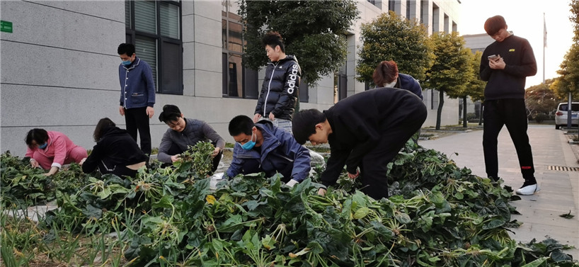 国凯集团抗疫风采-为业主提供爱心菜